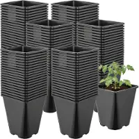 Garronda Set van 100 afgeronde vierkante kunststof kweekpotten met drainagegaten voor tuin (Zwart, 11 x 11 x 12,5 cm (1L)) GD-KW-SR
