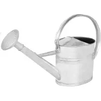 KOTARBAU Gieter, Plantengieter, Verzinkt Staal, 8 L, Zilver, Met Afneembare Broes, Bloemengieter, Ergonomische Handgreep, Kamerplanten Gieter