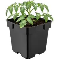 Garronda Vierkante kunststof bloempot met drainagegaten voor tuin (Zwart, 14 x 14 x 14 cm (2L)) GD-KW-S