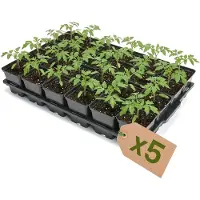 Garronda Set van 5 kweektrays met 24 x 0,5 L vierkante potten GD-KW-T