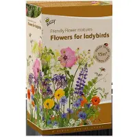 Buzzy - Grow gifts zaden strooidoos friendly flower lieveheersbeest...