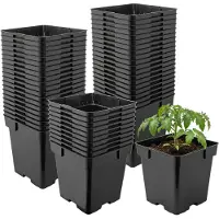 Garronda Set van 50 vierkante kunststof kweekpotten met drainagegaten voor tuin (Zwart, 16 x 16 x 16 cm (3L)) GD-KW-S