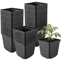 Garronda Set van 50 vierkante kunststof kweekpotten met drainagegaten voor tuin (Zwart, 15 x 15 x 15 cm (2,5L)) GD-KW-S