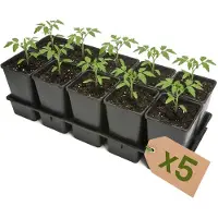 Garronda Set van 5 kweektrays met 10 x 1,7 L potten GD-KW-T