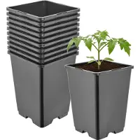Garronda Set van 10 hoge vierkante kunststof kweekpotten met drainagegaten voor tuin (Zwart, 11 x 11 x 15,5 cm (1,25L)) GD-KW-HS