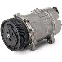 RIDEX 447K0217R Aircopomp