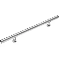 Monzana Trapleuning Zilver Roestvrij Staal 100xØ4,2cm