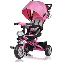 Spiel Werk Kinderdriewieler Roze incl Dak