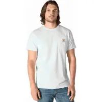 Carhartt T-Shirt Men Force Delmont Relaxed White-S