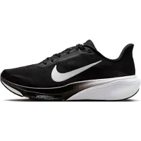 Nike Hardloopschoenen dames Pegasus 42