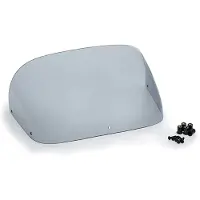 Puig 9872h Voorruit