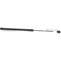 TRISCAN 8710 292112 Gasveer achterklep