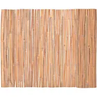 vidaXL Scherm 100x600 cm bamboe