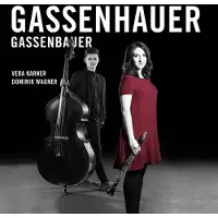 Brilliant Classics Vera Karner & Dominik Wagner - Gassenhauer (CD)