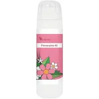Balance pharma Flowerplex 043 Intuitie