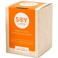 Soylites Soja geurkaars gratitude