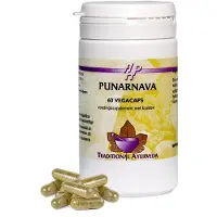 Holisan Punarnava Capsules