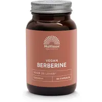 Mattisson Berberine 500mg Rebersa