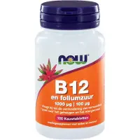 Now Vitamine B12 en Foliumzuur (100 kauwtabletten)