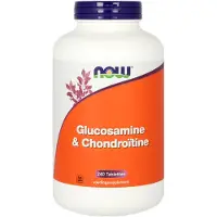 Now Glucosamine & chondroitine