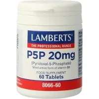 Lamberts P5P 20 mg Tabletten