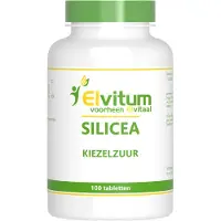 Elvitaal - Elvitum Silicium 250mg