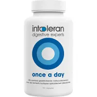 Intoleran Once a day