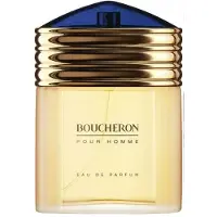 Boucheron Pour Homme 100 ml Eau de Parfum Spray
