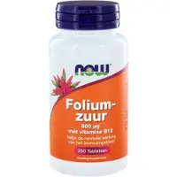 Now Foliumzuur 800 mcg 250 tabletten