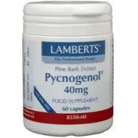 Lamberts Pijnboombast extract (Pycnogenol 40mg)