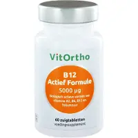 Vitortho B12 actief formule 5000 mcg