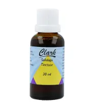 Clark Solidago Tinctuur