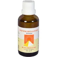 Vita Systeem Regulator B
