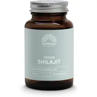Mattisson Vegan shilajit 400 mg 60 capsules