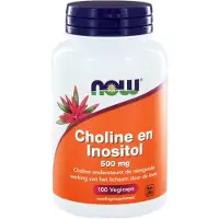 Now Choline en inositol 500mg (100 vegicaps)