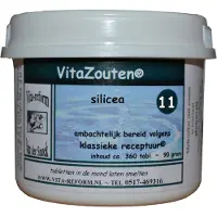 Vita Reform Van der Snoek Vitazouten Nr.11 Silicea 360st