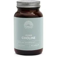 Mattisson Vegan vitacholine 400mg