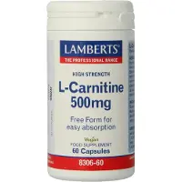 Lamberts L-Carnitine 500mg