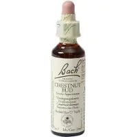 Bach Flower Remedies Kastanjeknop 07