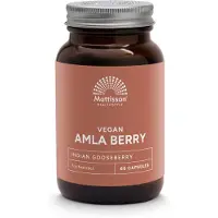 Mattisson Absolute amla berry extract 500mg (60 capsules)