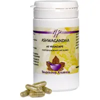 Holisan Ashwagandha (60 Vegacapsules)