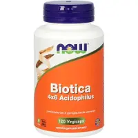 Now Biotica 4 x 6 acidophilus 120 vcaps