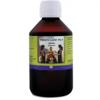 Holisan Pancha Guna Taila 250ml
