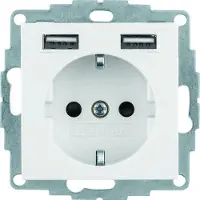 Berker , praktische dubbele stopcontact met klassieke en moderne laadfunctie, 1 stuk.