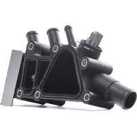 THERMOTEC D2G006TT Thermostaathuis