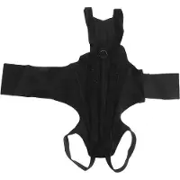 OEM Hondenrugbrace voor comfort en ondersteuning van de nek bij honden na rugoperaties, hernia's, artrose
