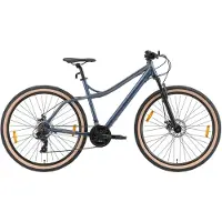 Bikestar hardtail MTB, alu, 29 inch, 21 speed, blauw/grijs male