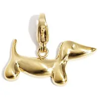 Yehwang Teckel Glow Charm Goud