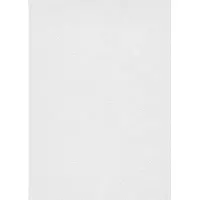 Erismann Vinylbehang 11035-01 - RollOver27 - Overschilderbaar Wit - 106cm x 25,00m