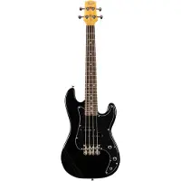 Flight Mini BASS LITE BK + housse